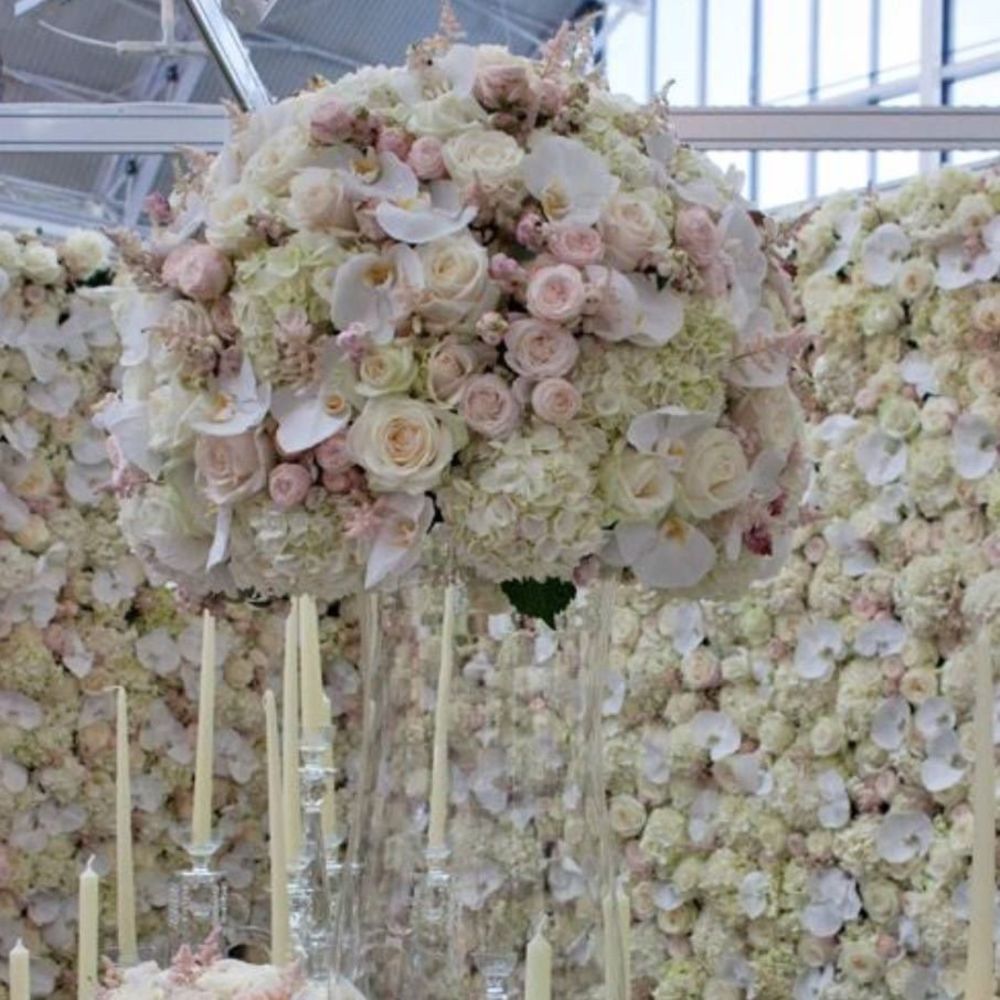 Meet your Posher, Cynthia